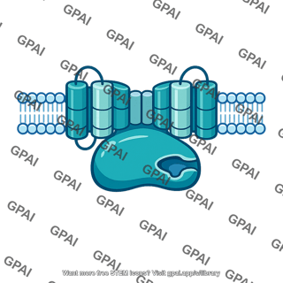 Adenylate cyclase
