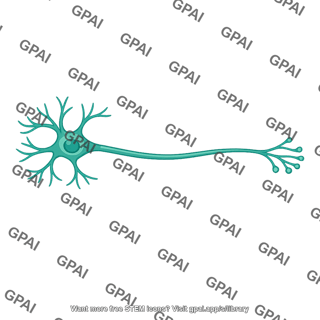 Neuron