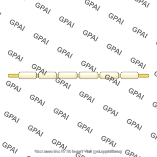 Small myelinated nerve fiber