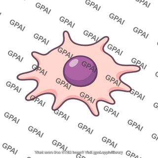 Invasive trophoblast cell