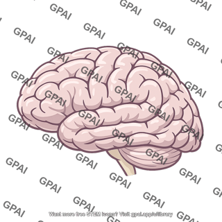 Left brain hemisphere