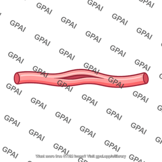 Muscle capillary dormant