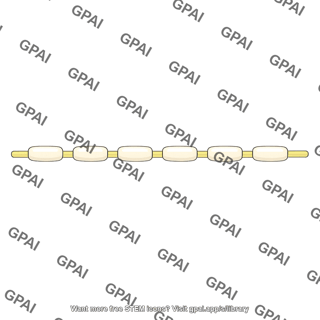 Type a delta fiber