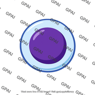 Hemocytoblastic cell