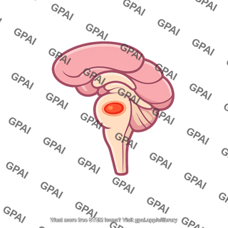 Central nervous system vasomotor center