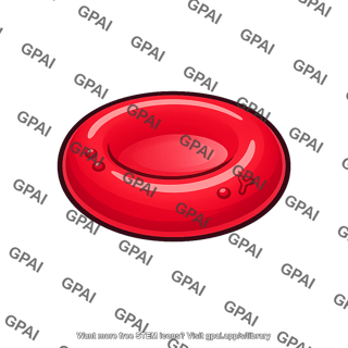 Red blood cell rh positive