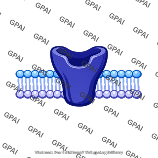 Membrane receptor protein