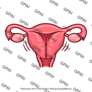 Uterus contracting