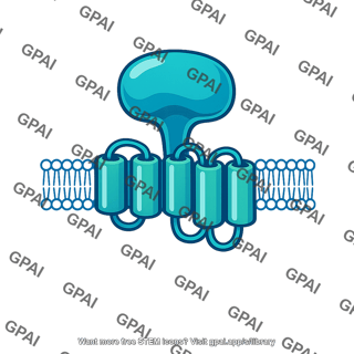 Membrane receptor protein