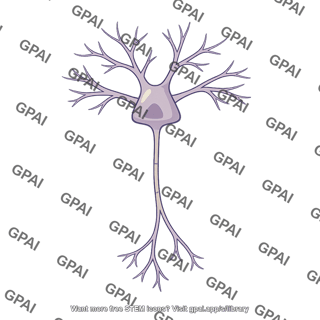Cortical neuron