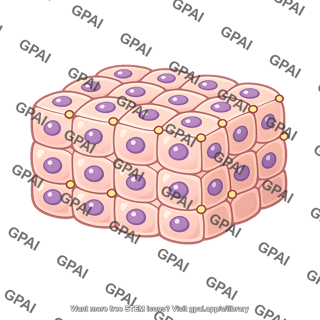 Target tissue