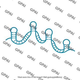 Snrna
