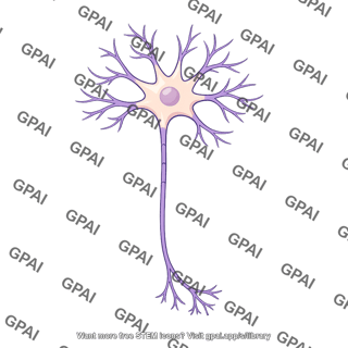 Neuron