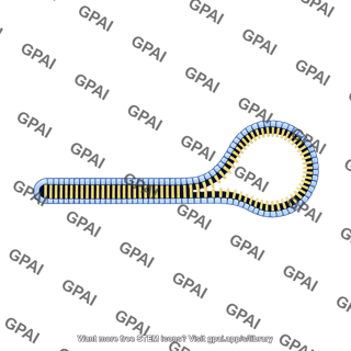 Extending membrane bilayer stage 3