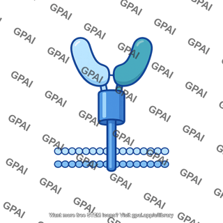 Transmembrane protein antigen