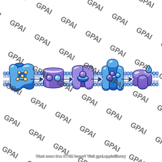 Electron transport chain