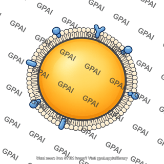 Vldl particle