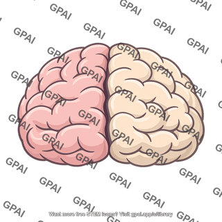 Human brain hemispheres