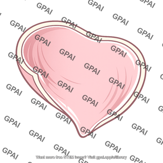 Raw meat cut