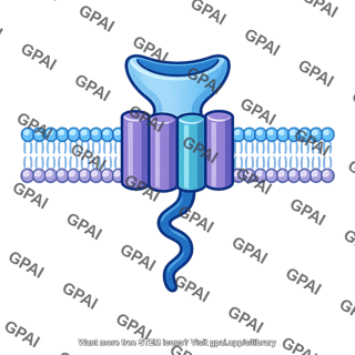 Membrane hormone receptor