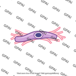 Fibroblast cell