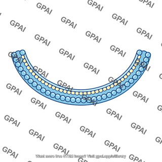 Bead necklace