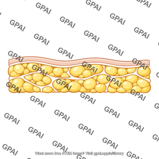 Subcutaneous fat