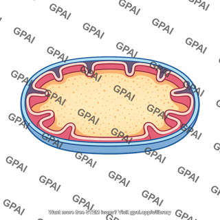 Mitochondrial matrix