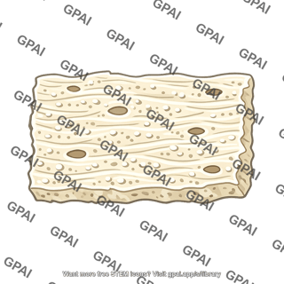Bone matrix