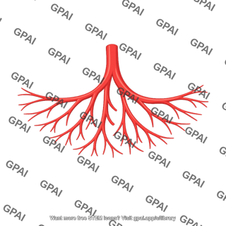 Mesenteric blood vessel
