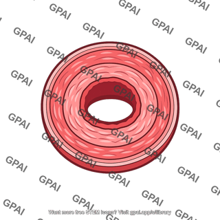 Artery hypertensive