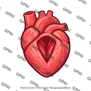Human heart