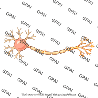 Neuron firing
