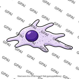White blood cell migrating