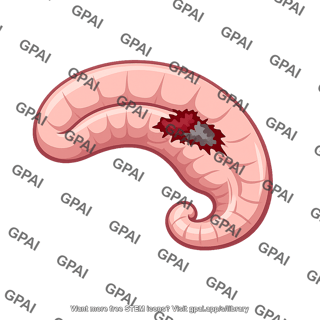 Hippocampus lesioned