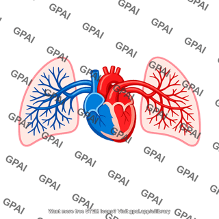 Pulmonary circulation