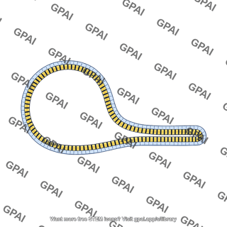 Extending membrane bilayer stage 1