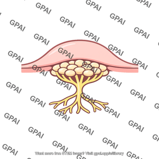 Dome receptor
