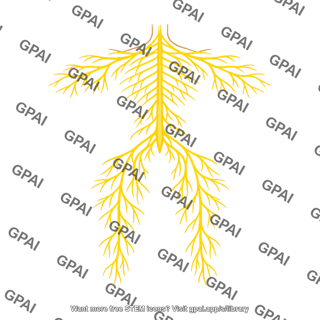Peripheral nervous system