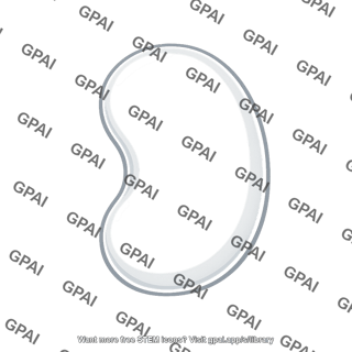 Kidney fibrous capsule