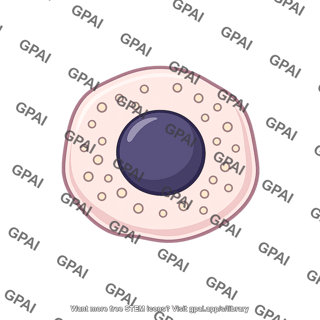Parafollicular cell