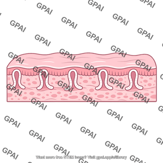 Endometrium reepithialized