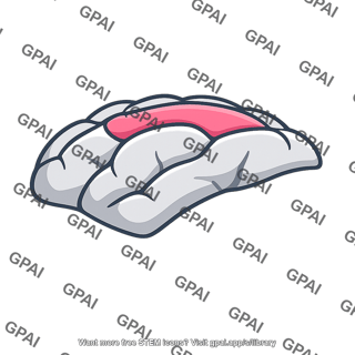 Nigiri sushi