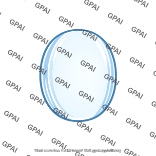 Lens convex
