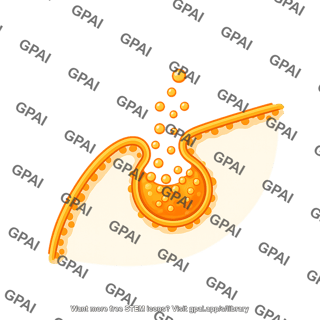 Exocytosis quarter circle membrane small vesicle