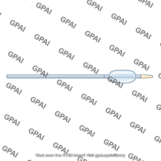 Balloon tipped catheter