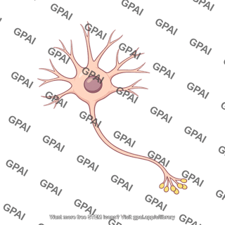 Neuron
