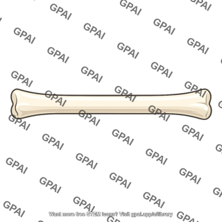 Bone shaft