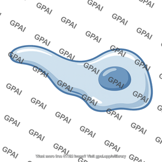 Pseudopod