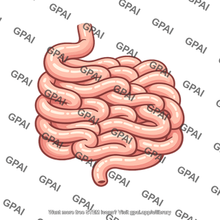 Small intestine